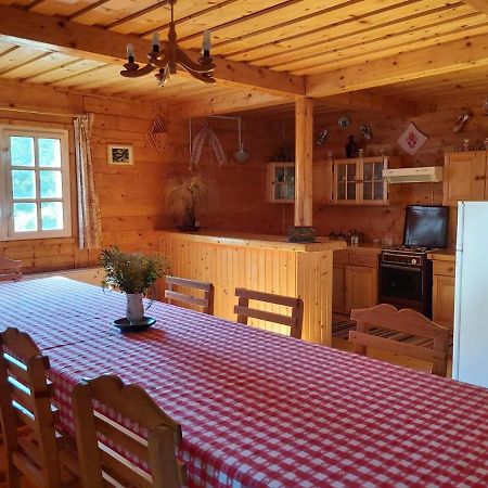 Casa Edelweiss - Gyopar - Flore De Colt Rimetea Buitenkant foto