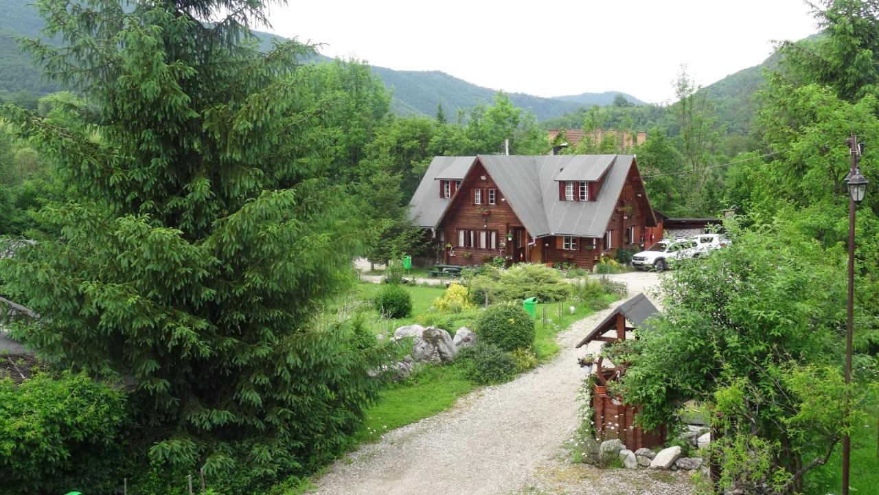 Casa Edelweiss - Gyopar - Flore De Colt Rimetea Buitenkant foto