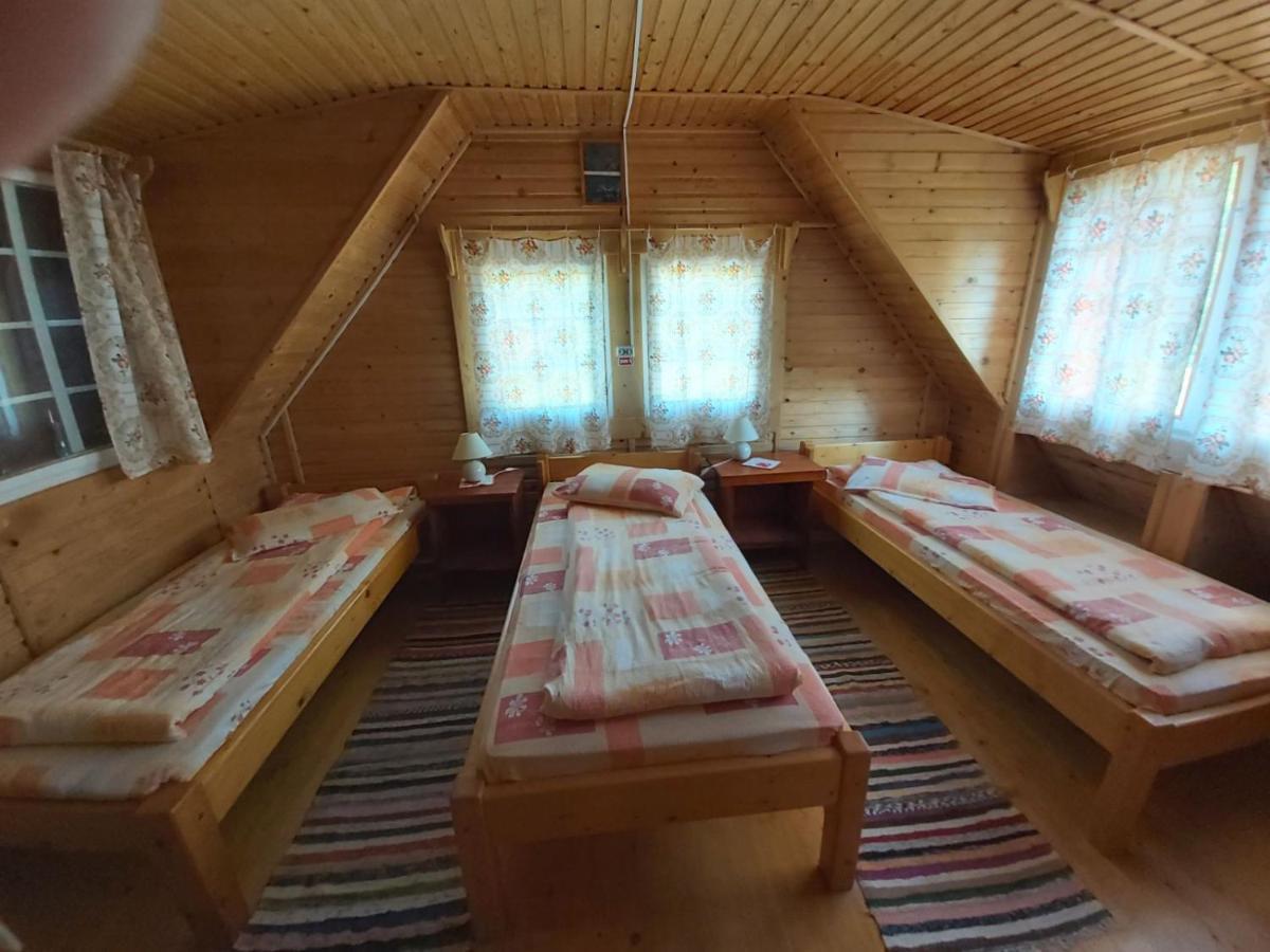 Casa Edelweiss - Gyopar - Flore De Colt Rimetea Buitenkant foto