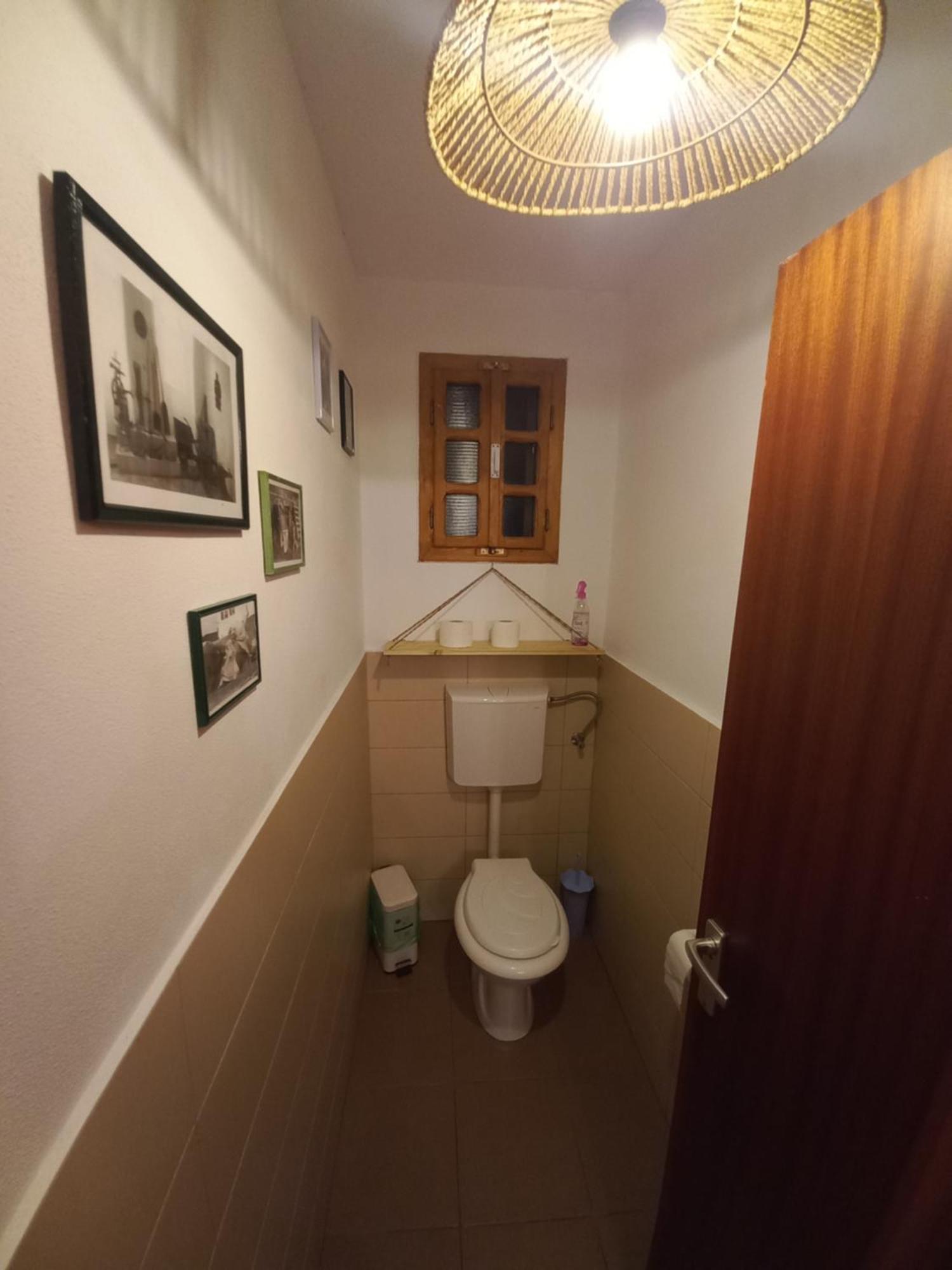 Casa Edelweiss - Gyopar - Flore De Colt Rimetea Buitenkant foto